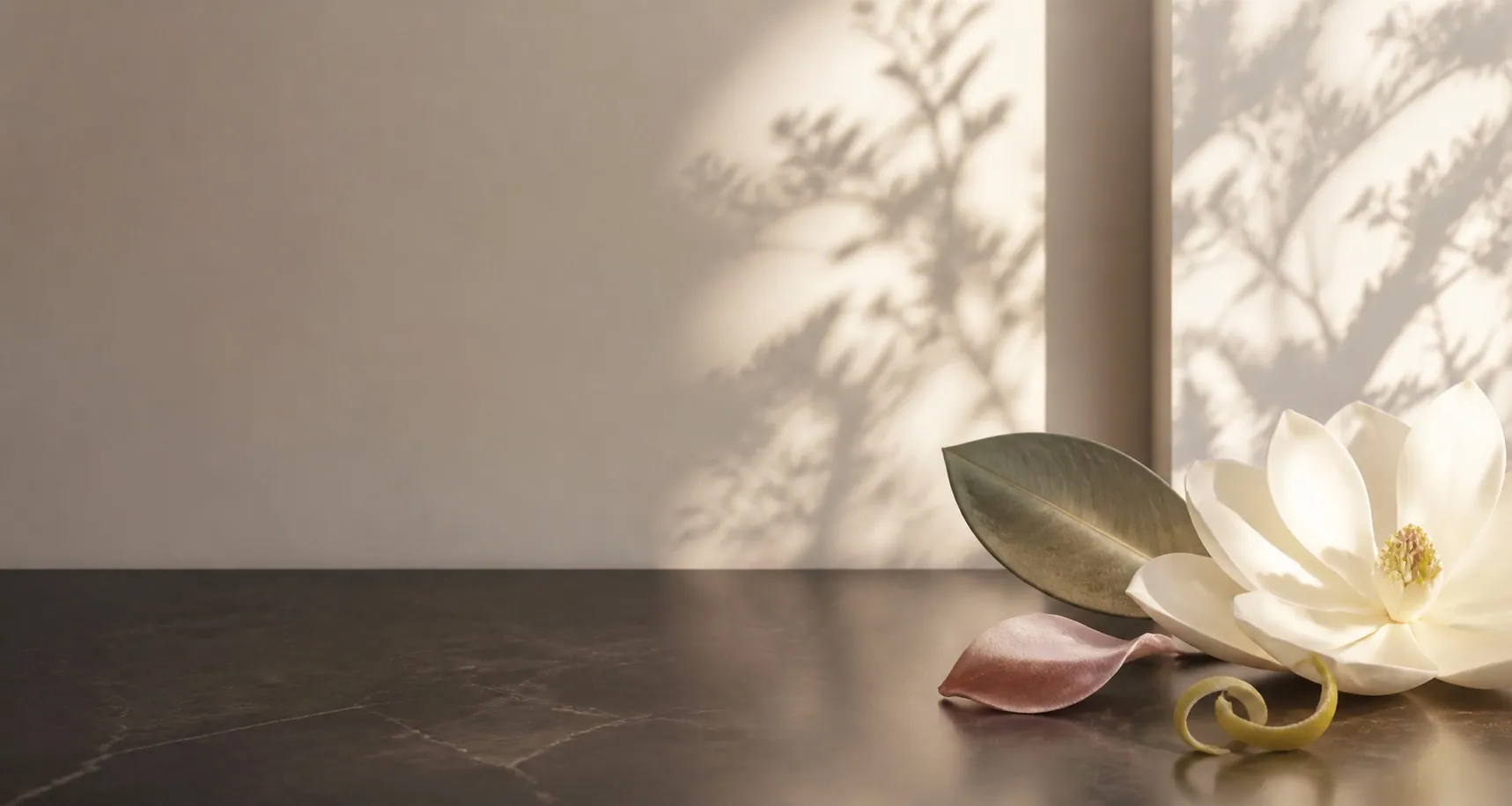 Magnolia iluminada por el sol de primavera